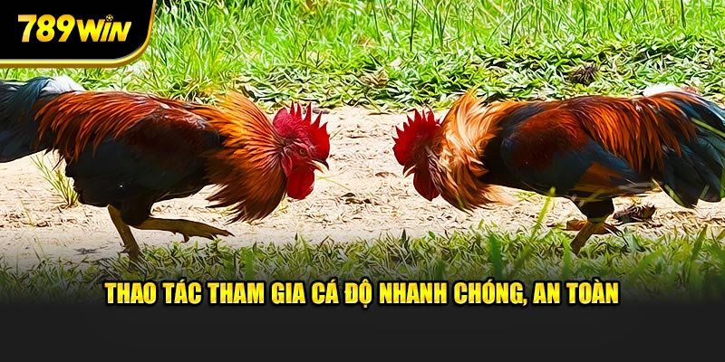 Thao tác tham gia cá độ nhanh chóng, an toàn Thao tác tham gia cá độ nhanh chóng, an toàn